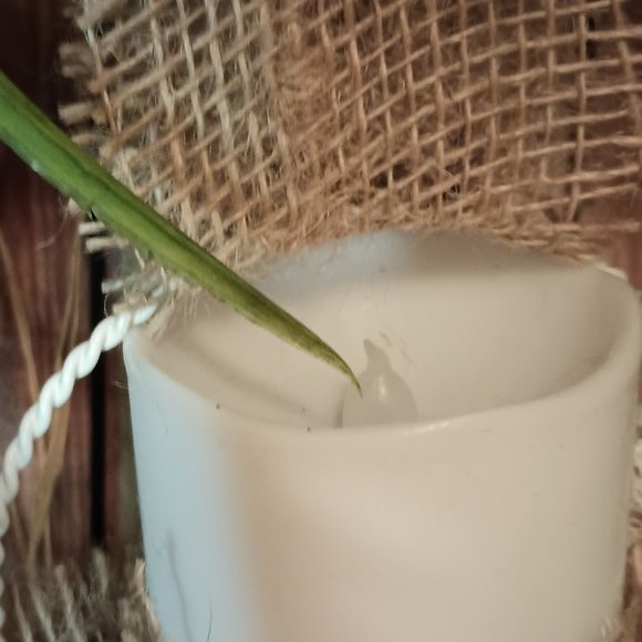 Summer Wreath,Farmhouse Front Door Wreath,Spring Wreath,Floral Arrangement - Picture 9 of 11